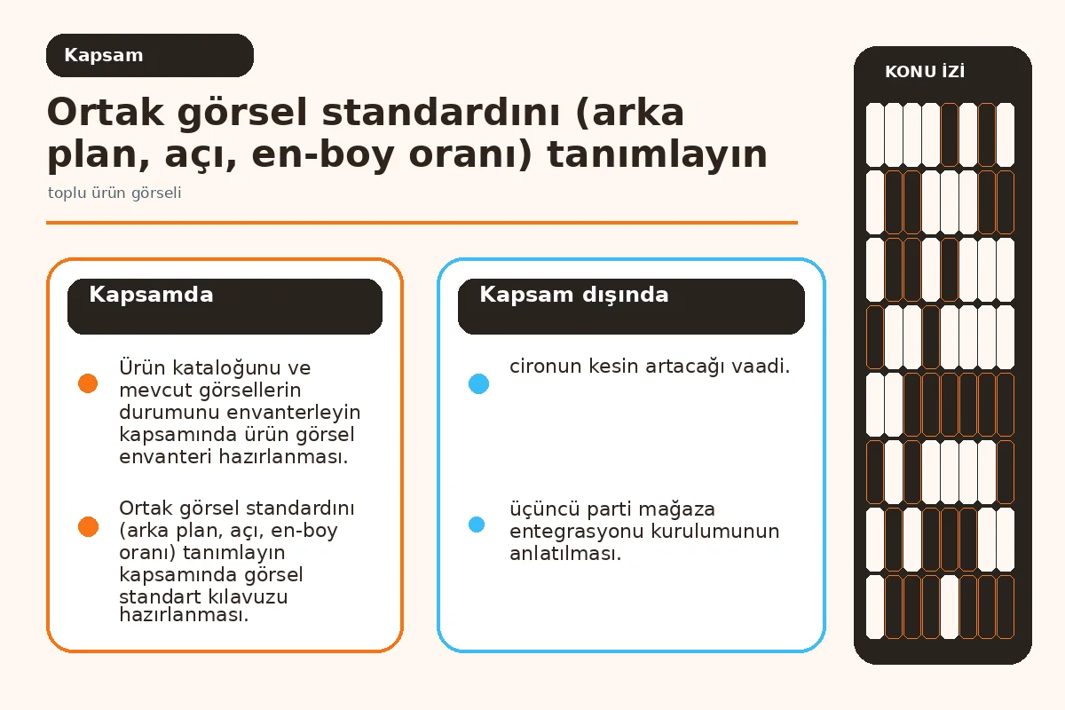 Toplu üretimin kapsamını ve girdi-çıktı sınırlarını anlatan şema.